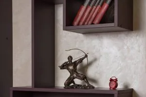 Susanu Clinic